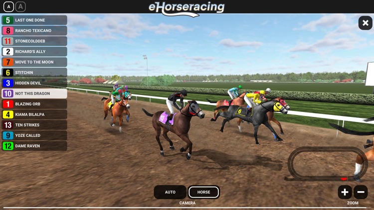 eHorseracing.com Race Viewer