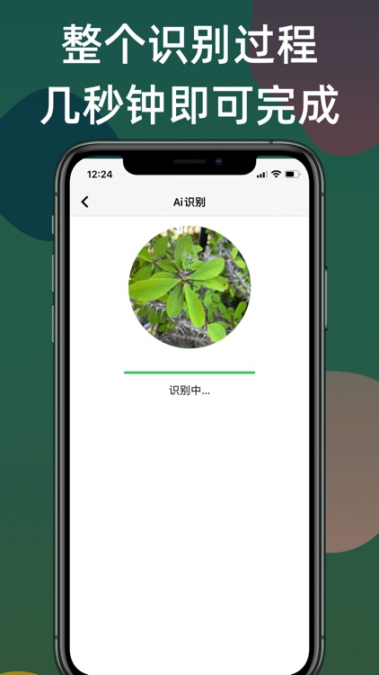 Ai识植-拍照识别花草树木