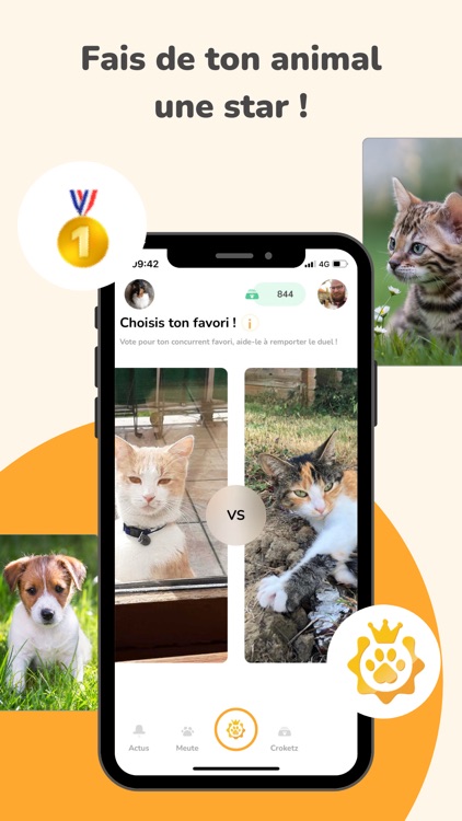 Scorpet: Concours animalier