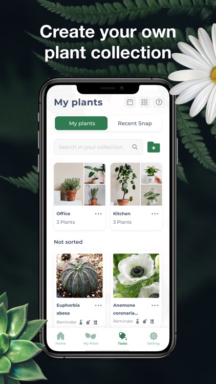 LeafSnap-Plant Identification screenshot-4