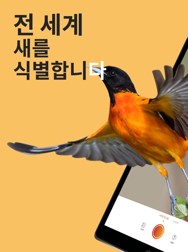 App Store에서 제공하는 Picture Bird - 조류 식별