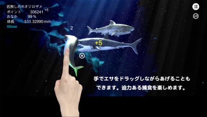 ホオジロザメ育成とサメ大全 screenshot1