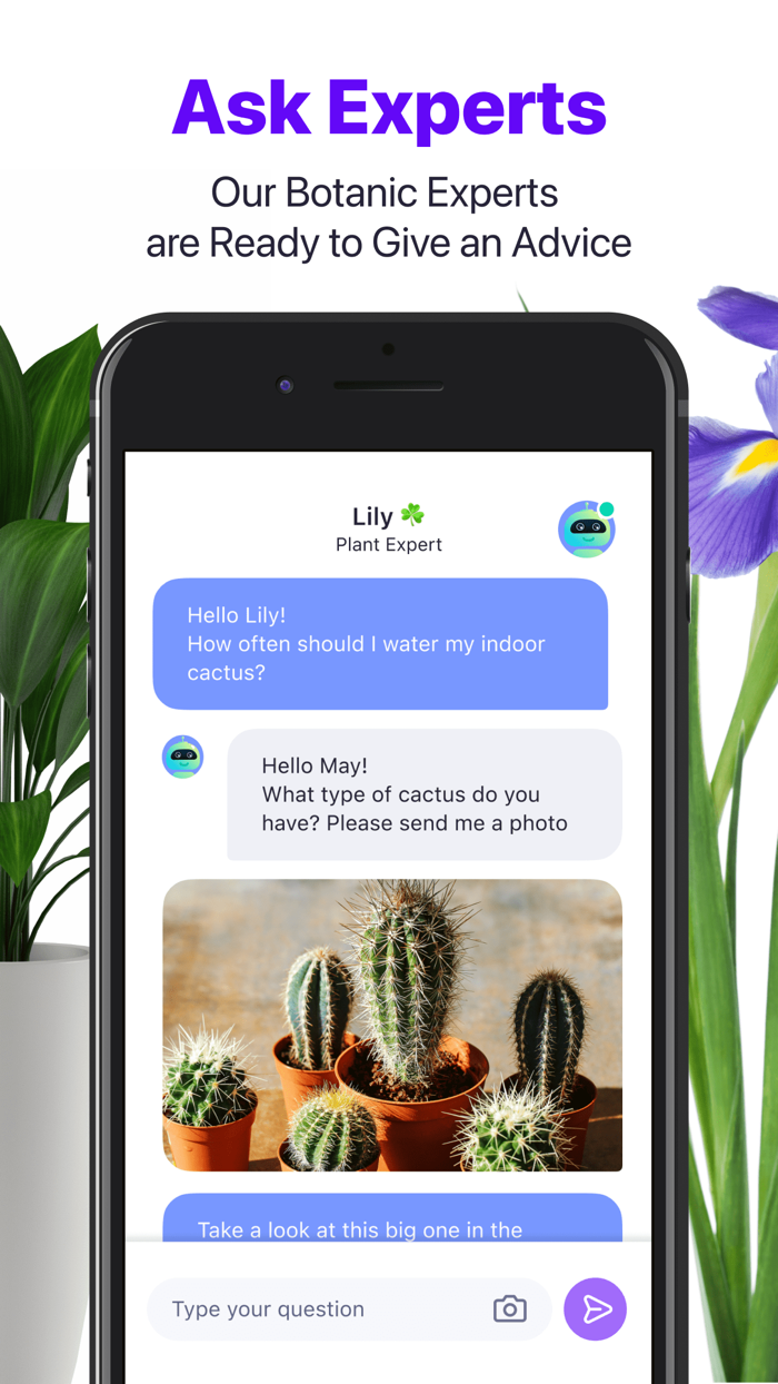 Lily - Plant Identifier