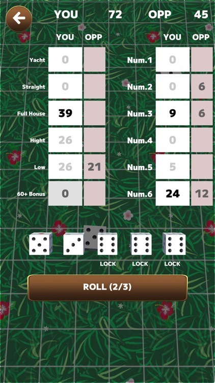 Yam :Dice Game screenshot-5