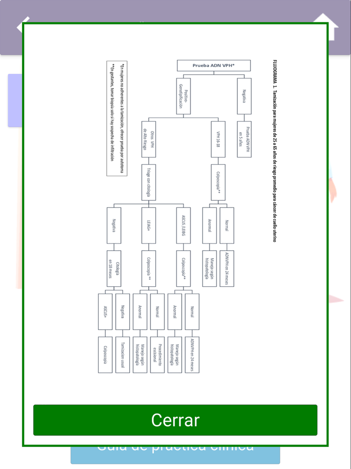 Guía Práctica Clínica ACPTG V2