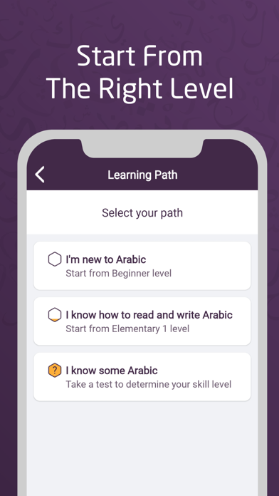AlifBee - Learn Arabic Easily screenshot 2