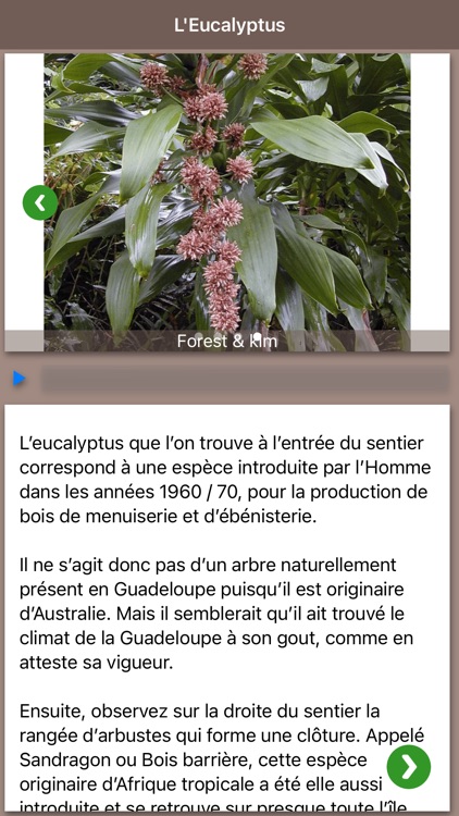 Sylvascope screenshot-4