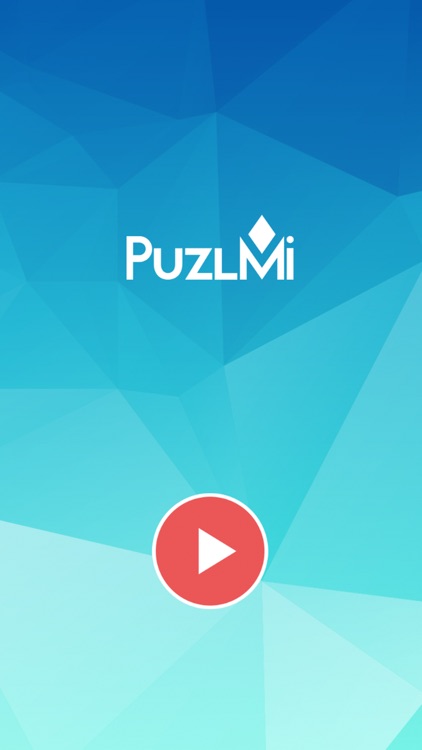 PuzlMi