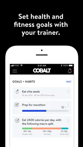 Game screenshot Cobalt+ hack