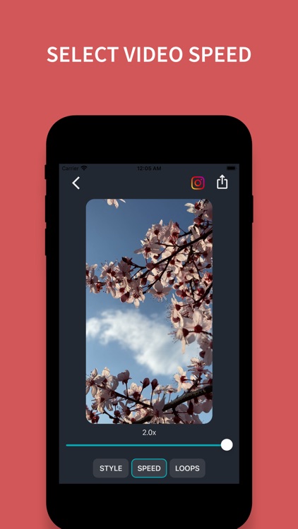 Loopit! - Boomerang Videos