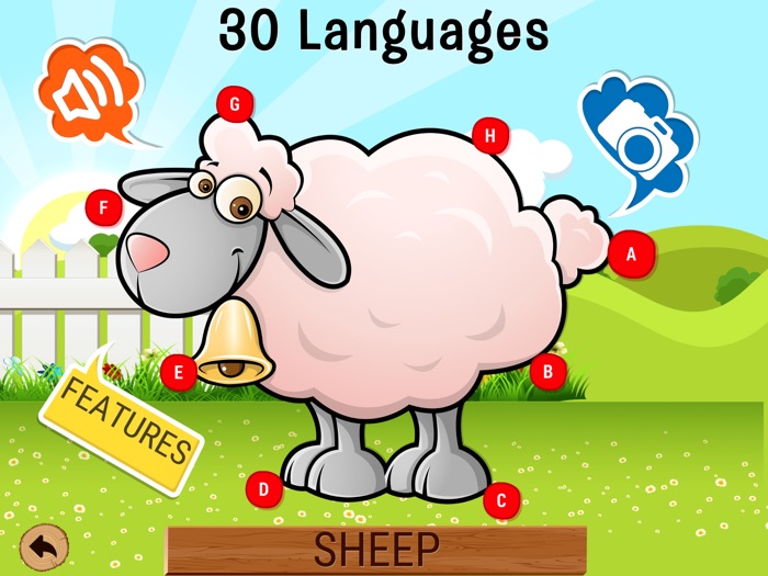 Alphabets game  Numbers game