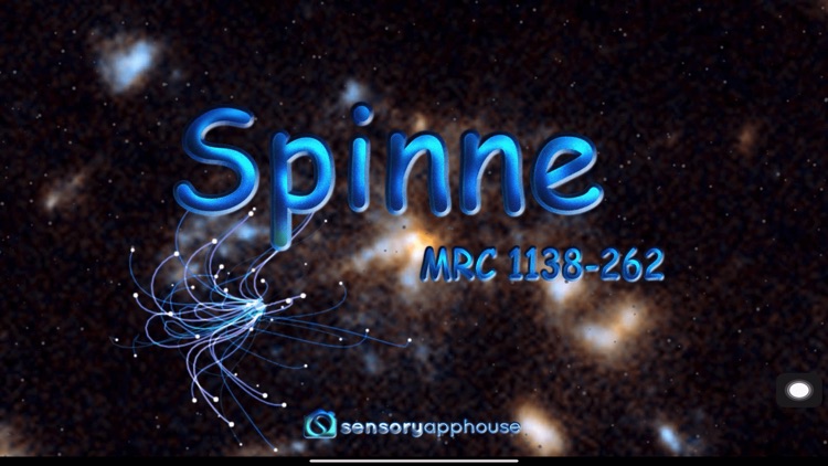 Spinne