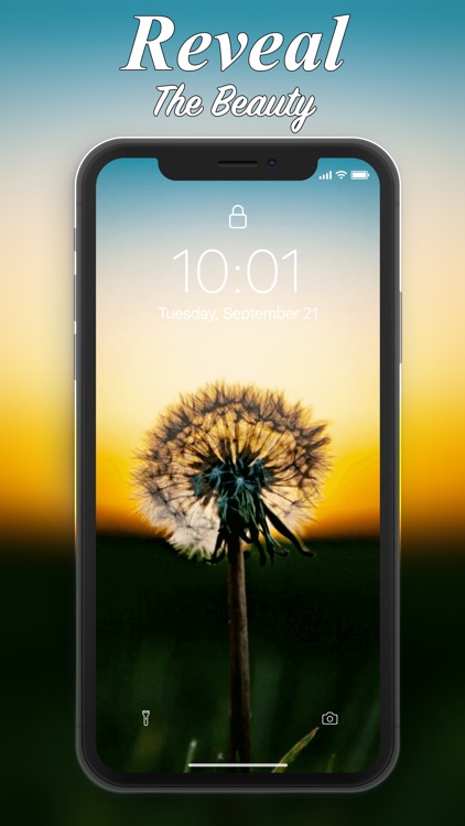 Live Wallpaper BG for iPhone screenshot-6