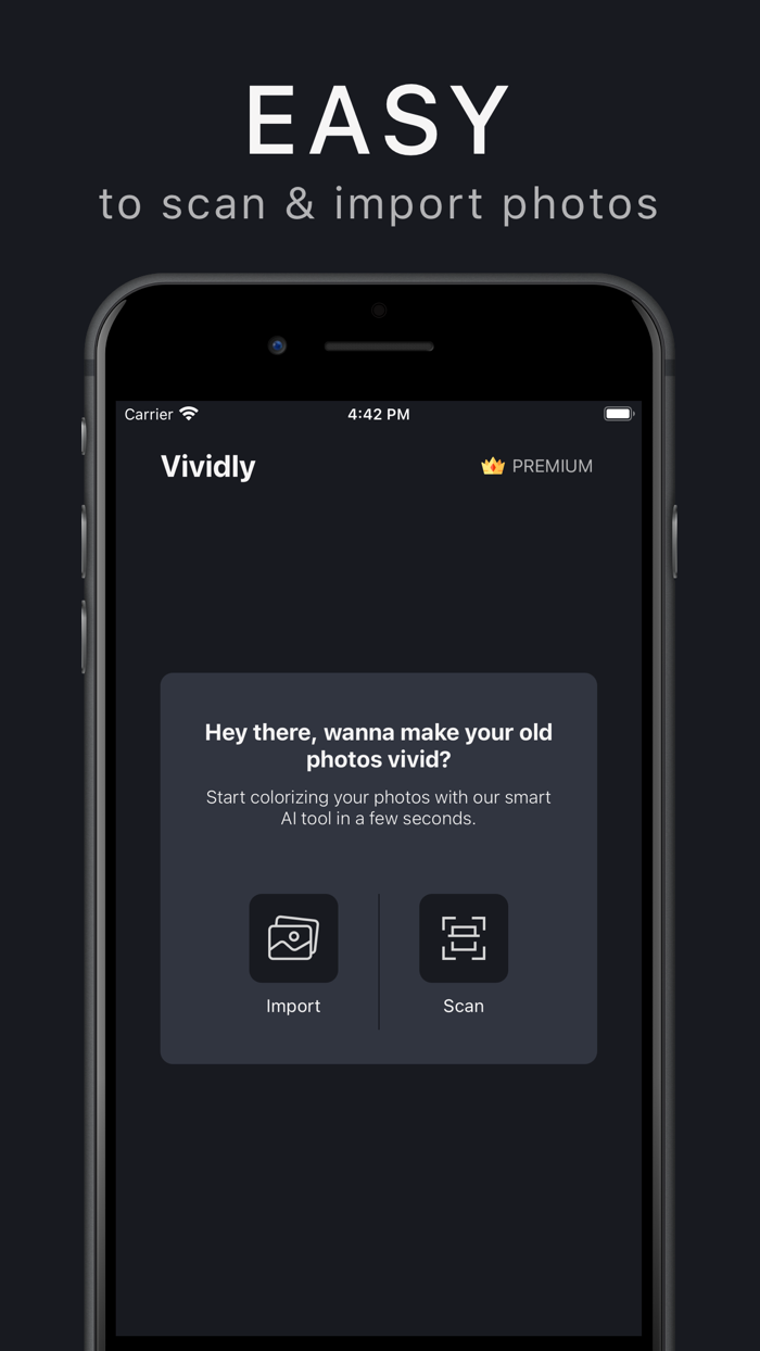 Vividly Colorize Old Photo AI