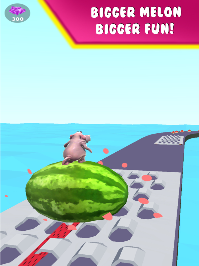 Hippo Run 3D