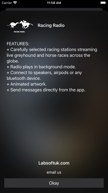 Racing Radio screenshot-3