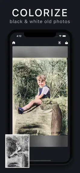 Game screenshot Vividly: Colorize Old Photo AI mod apk