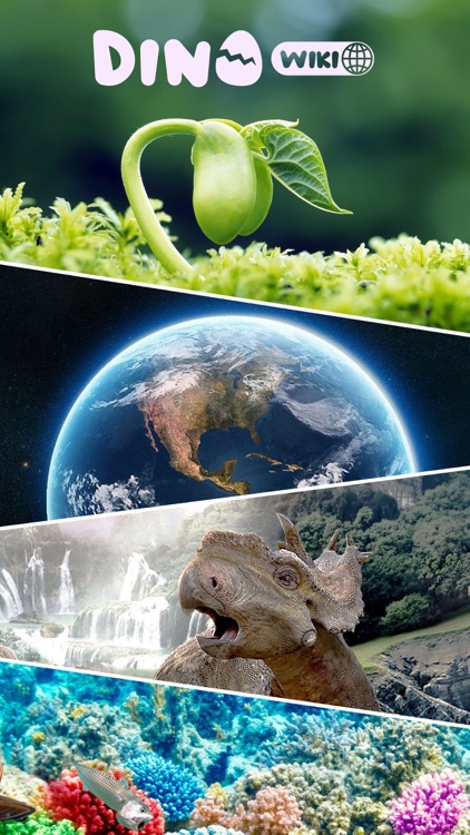 Dino Wiki screenshot-5
