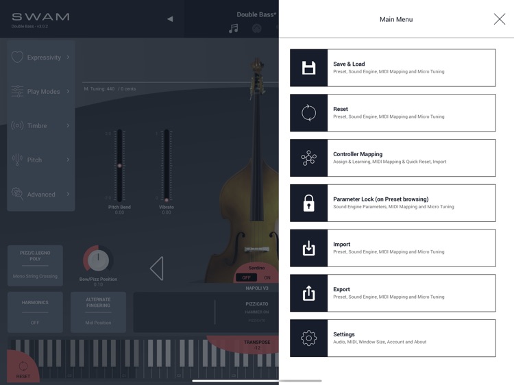 SWAM Double Bass screenshot-6