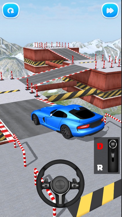 Real Driver 3D