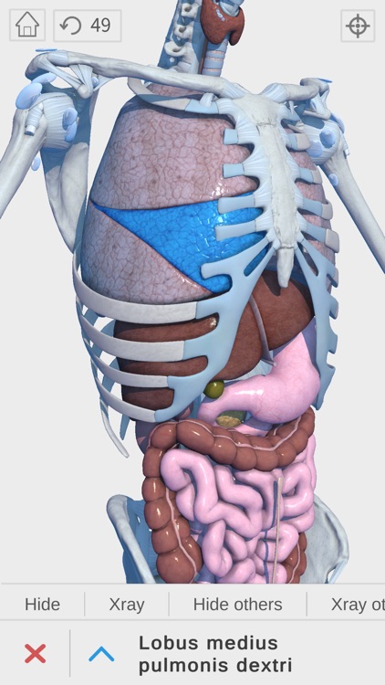 Visual Anatomy 3D - Human screenshot-5