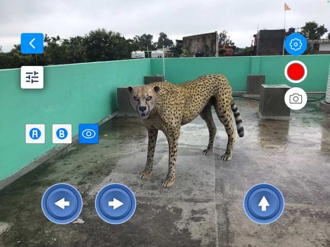 AR Real Animals on the App Store