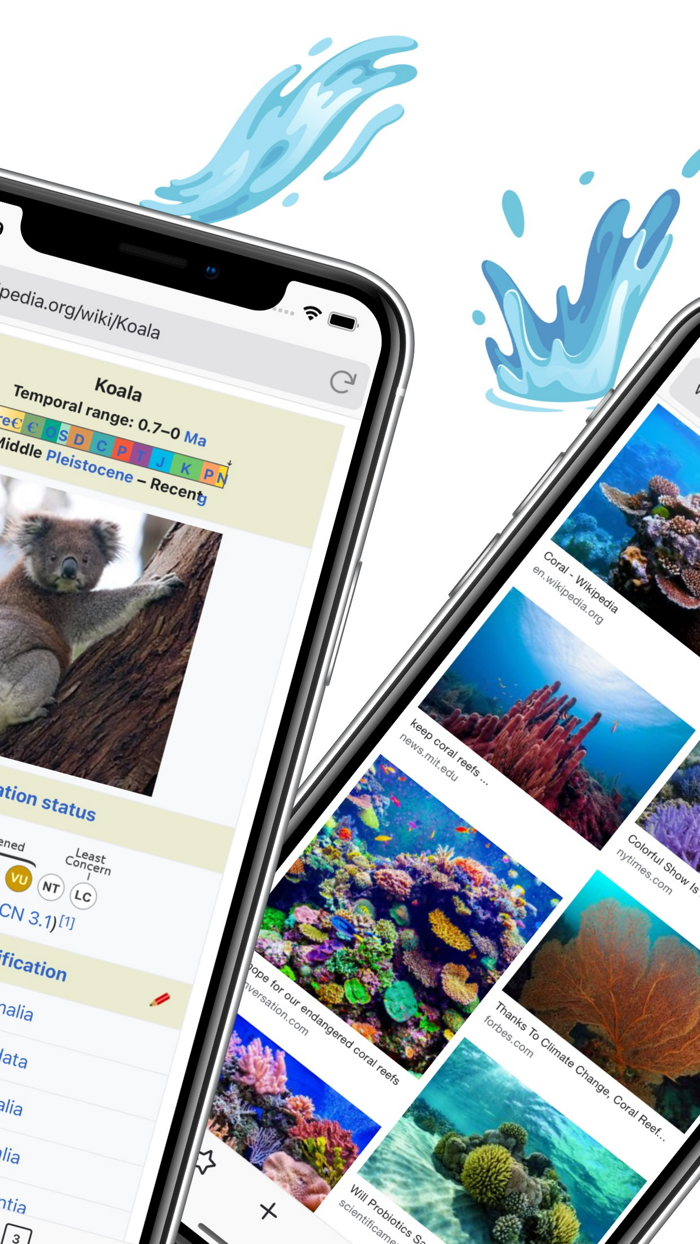Koala Surf Web Browser