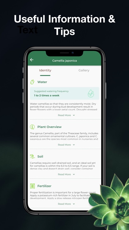LeafSnap-Plant Identification screenshot-3