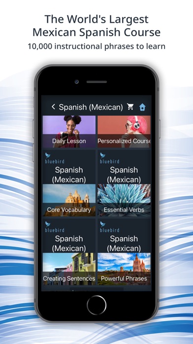Bluebird: Mexican Spanish screenshot 1