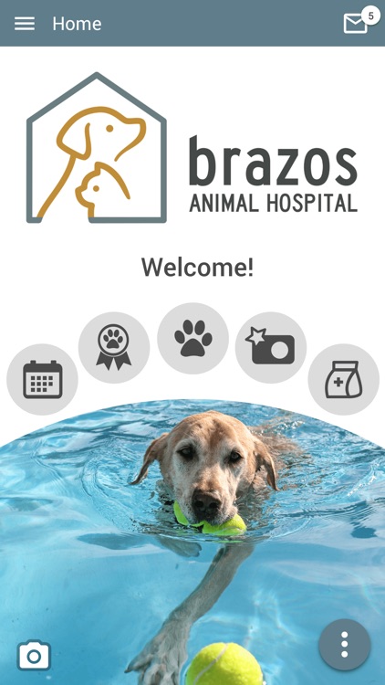 Brazos Animal Hospital