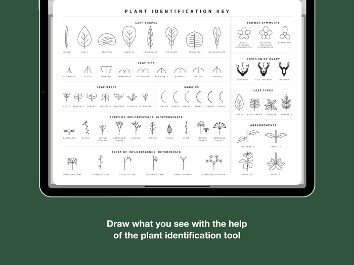 Materia Medica Journal