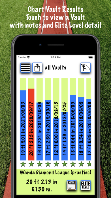 iPoleVault ( Track and Field ) screenshot 3