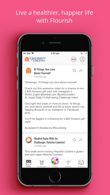 UVA's Student Flourishing App