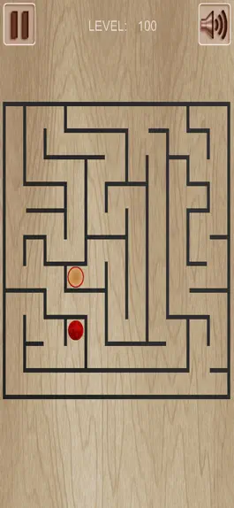 Game screenshot Travel Labyrinth Edition apk