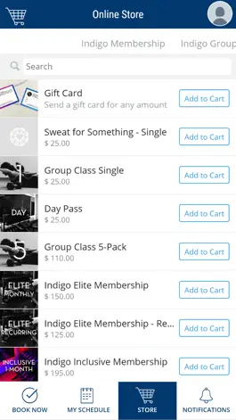 Game screenshot Indigo Fitness hack