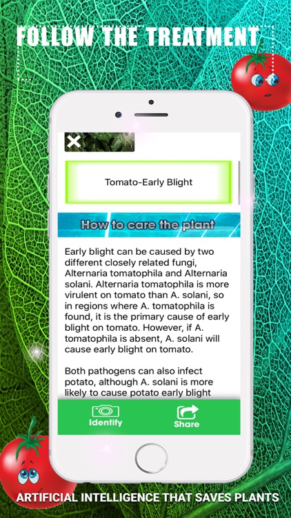 Identify Tomato Plant Diseases screenshot-3