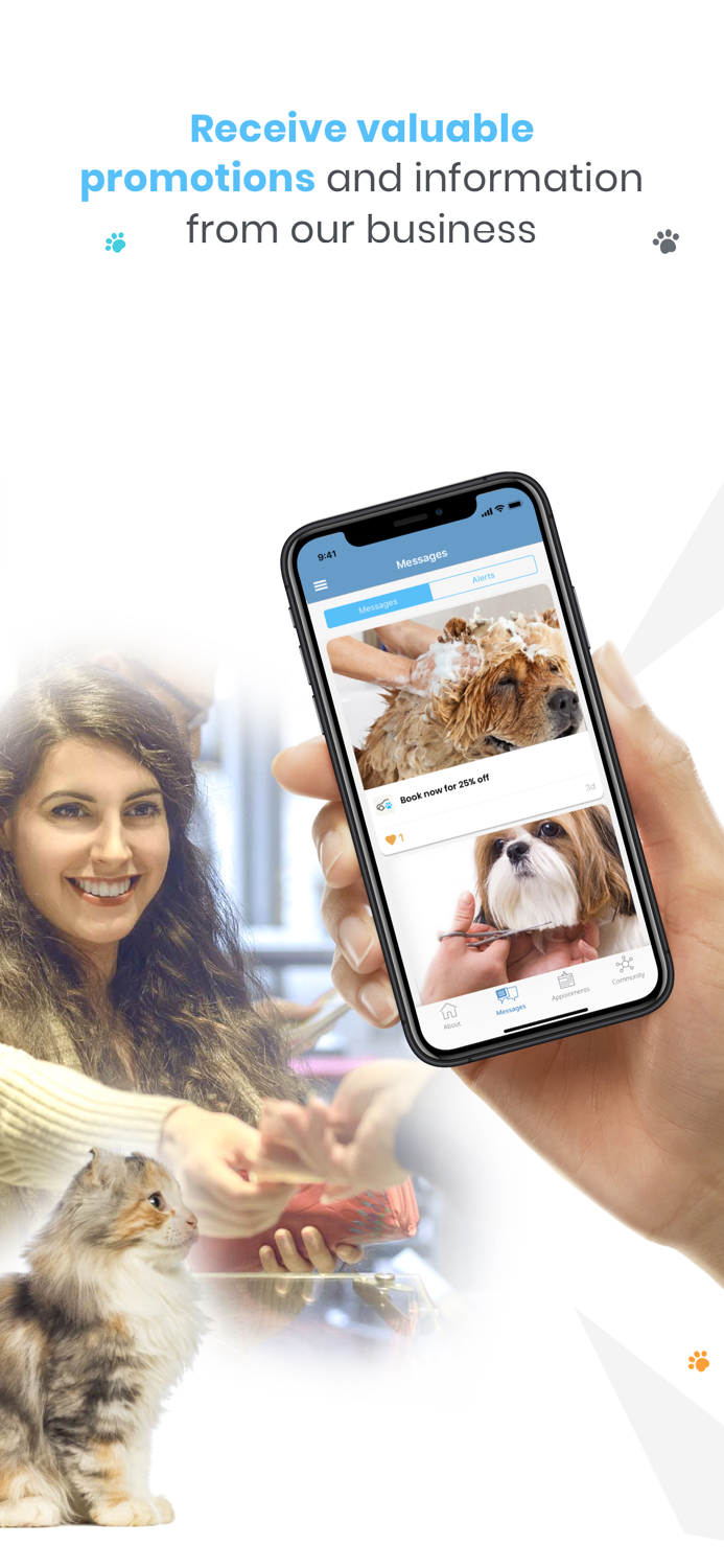 Foxy Roxys Doggy Dayout