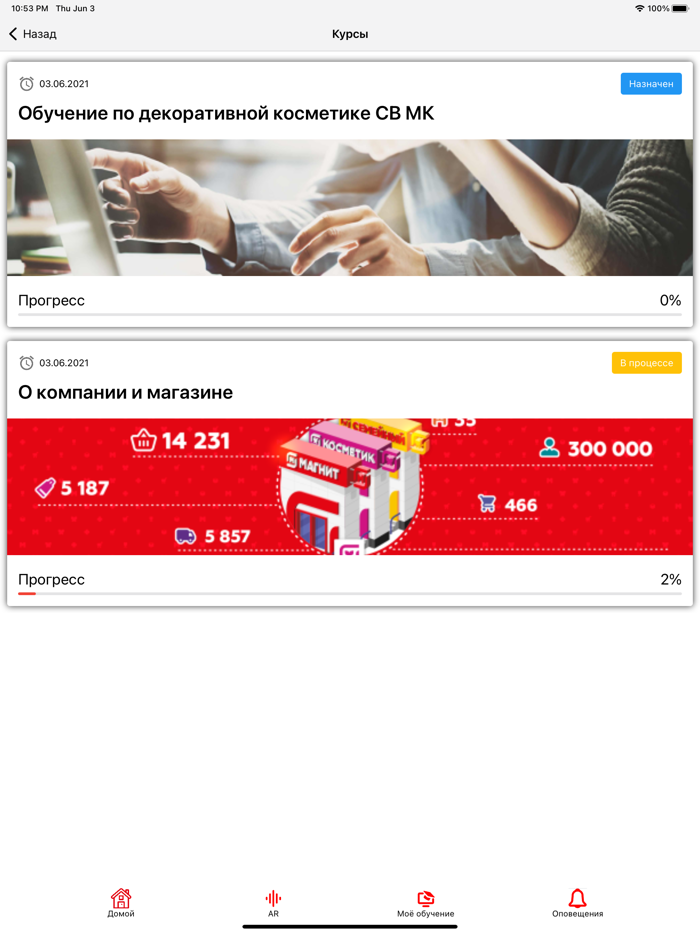 Магнит Магнум