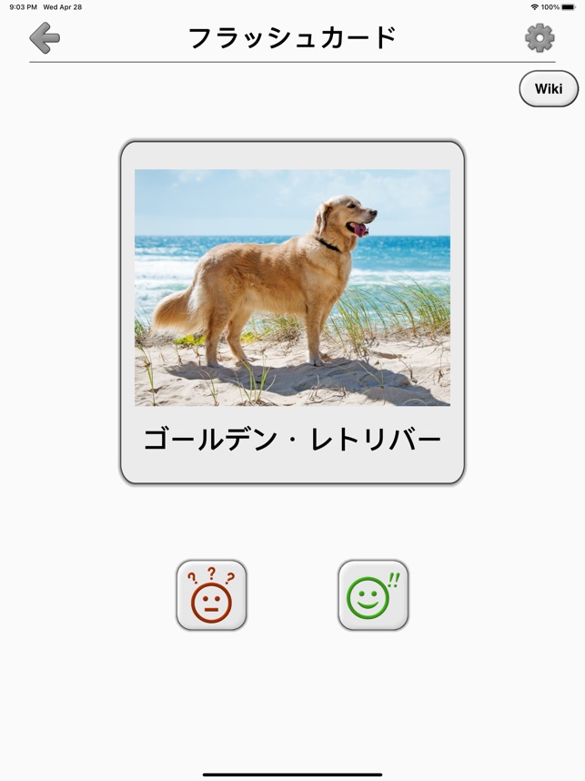 犬 写真付きクイズ 犬の品種一覧 をapp Storeで