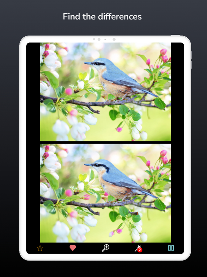 Find the differences - forever