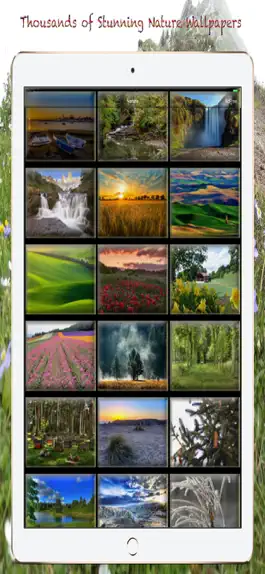 Game screenshot Nature Wallpapers & Background apk