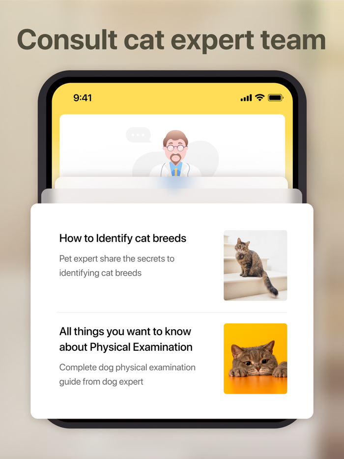 Cat Pal Breed ID  Care Guide