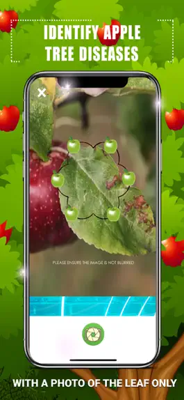 Game screenshot Identify Apple Tree Diseases apk