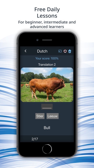 Bluebird: Learn Dutch screenshot 2