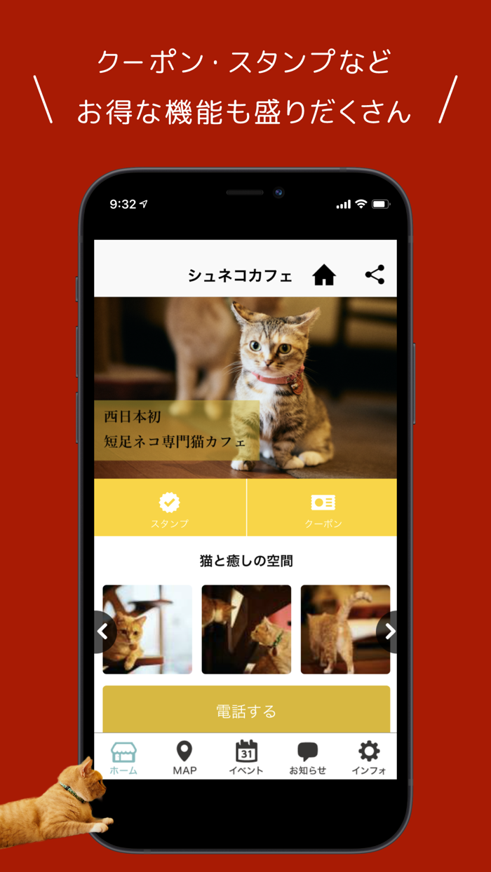 福岡大名　シュネコカフェ