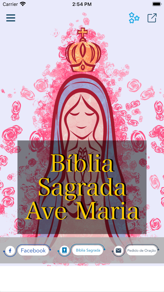 Bíblia Sagrada Ave Maria
