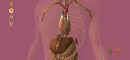 Game screenshot Arloon Anatomy AR apk