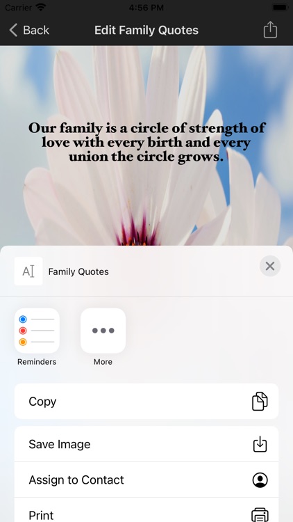 Family-Quotes screenshot-4