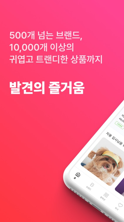 디어테일 - 취향기반 강아지용품 쇼핑앱