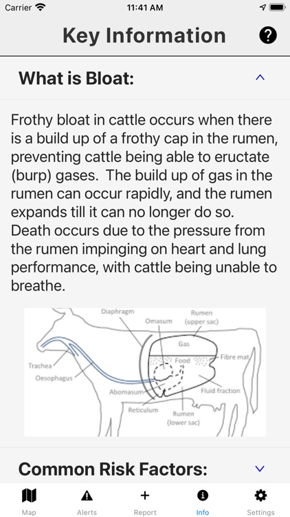 Bloat Alert screenshot-5